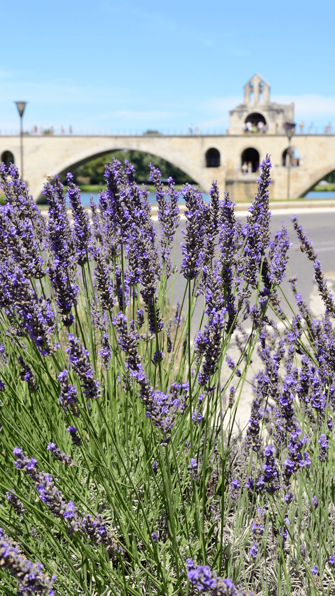 guia-de-viaje-avignon
