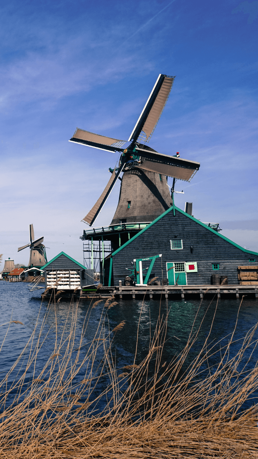 guia-de-viaje-holanda